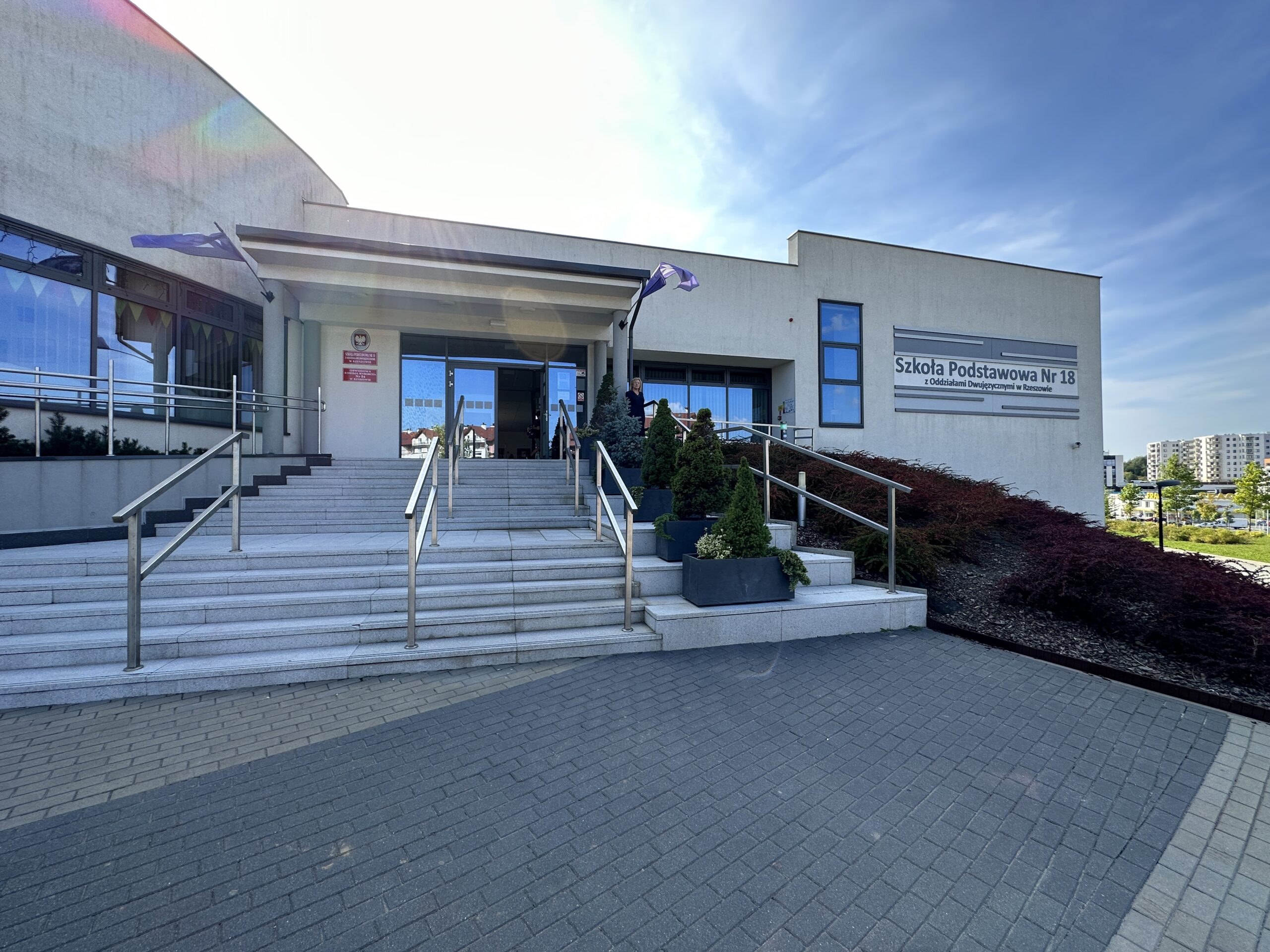 image1 image1